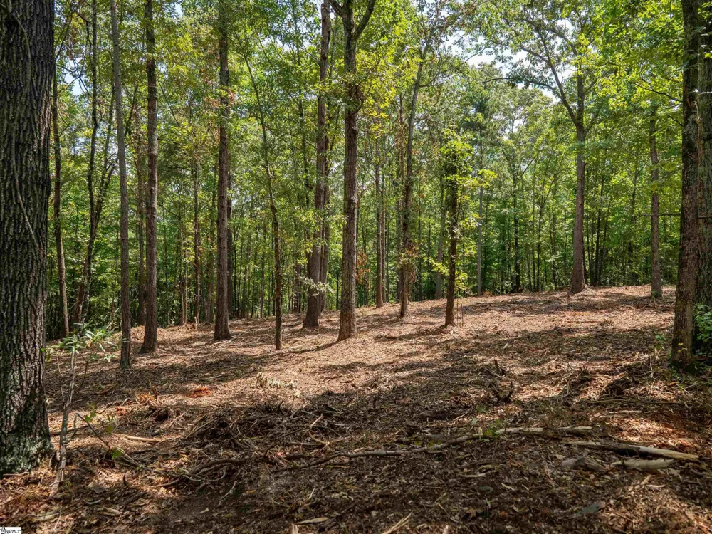 00 Cheek Road #Lot 19 Gray Court, SC 29645