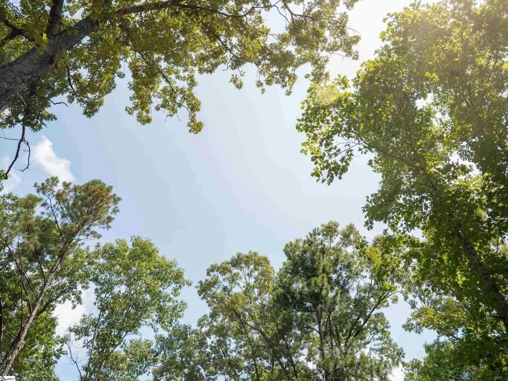 00 Cheek Road #Lot 19 Gray Court, SC 29645