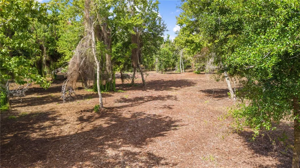 0 LAKE TERRACE AVE. SAINT CLOUD,FL #34772 St Cloud, FL 34772