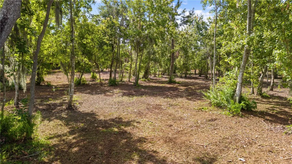 0 LAKE TERRACE AVE. SAINT CLOUD,FL #34772 St Cloud, FL 34772