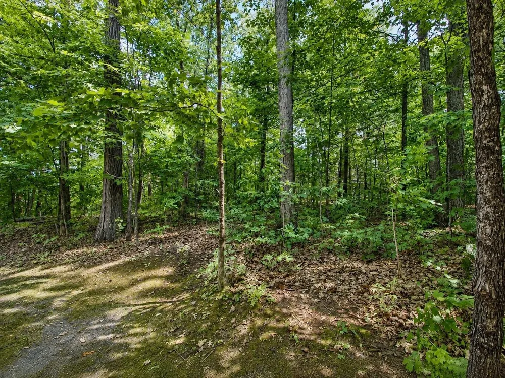 12652 W South Shore Road Hayward, WI 54843
