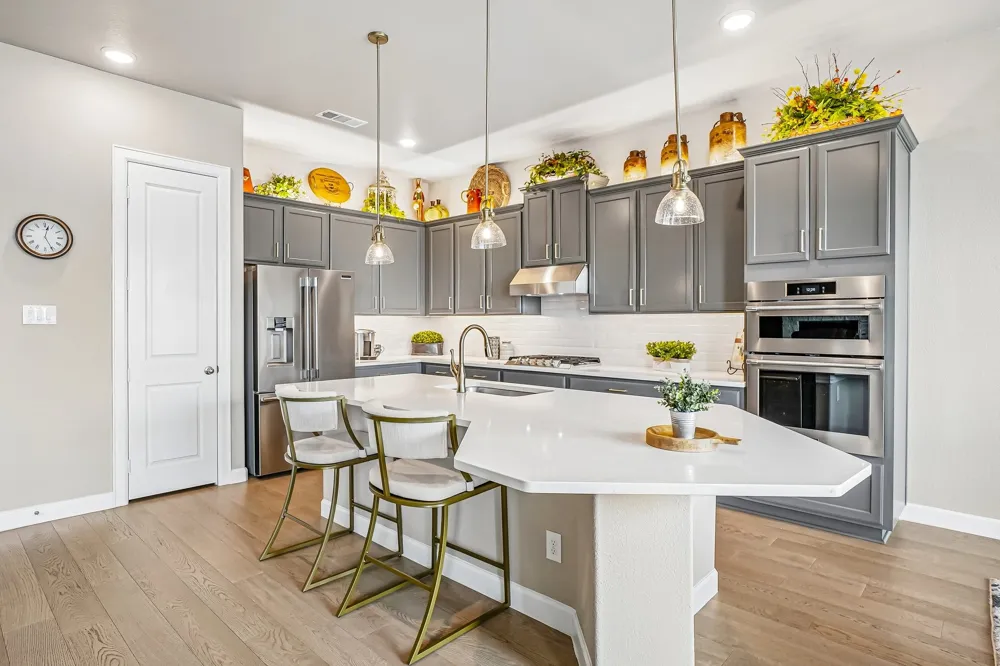 1907 Sicilia Lane McLendon Chisholm, TX 75032
