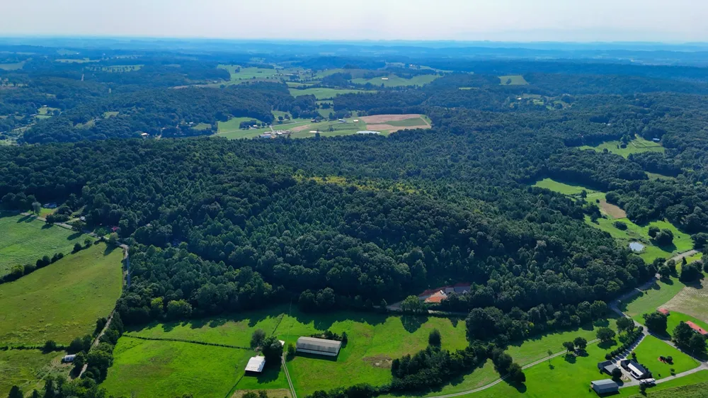 1 Moss Rd Philadelphia, TN 37846
