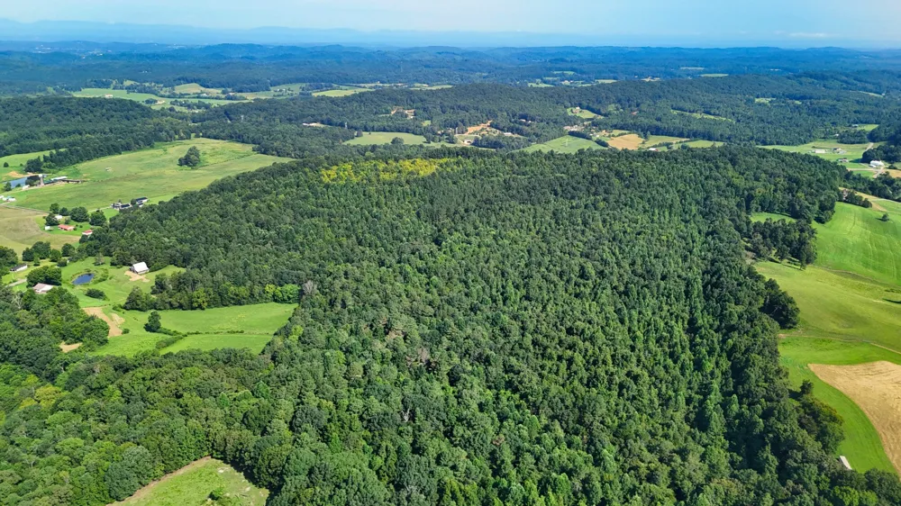 1 Moss Rd Philadelphia, TN 37846