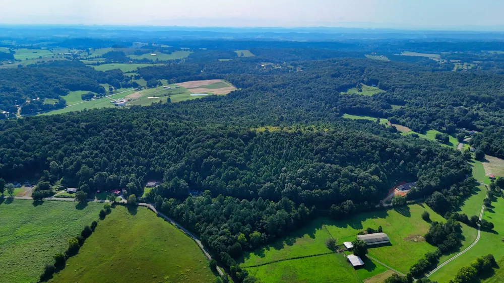 1 Moss Rd Philadelphia, TN 37846