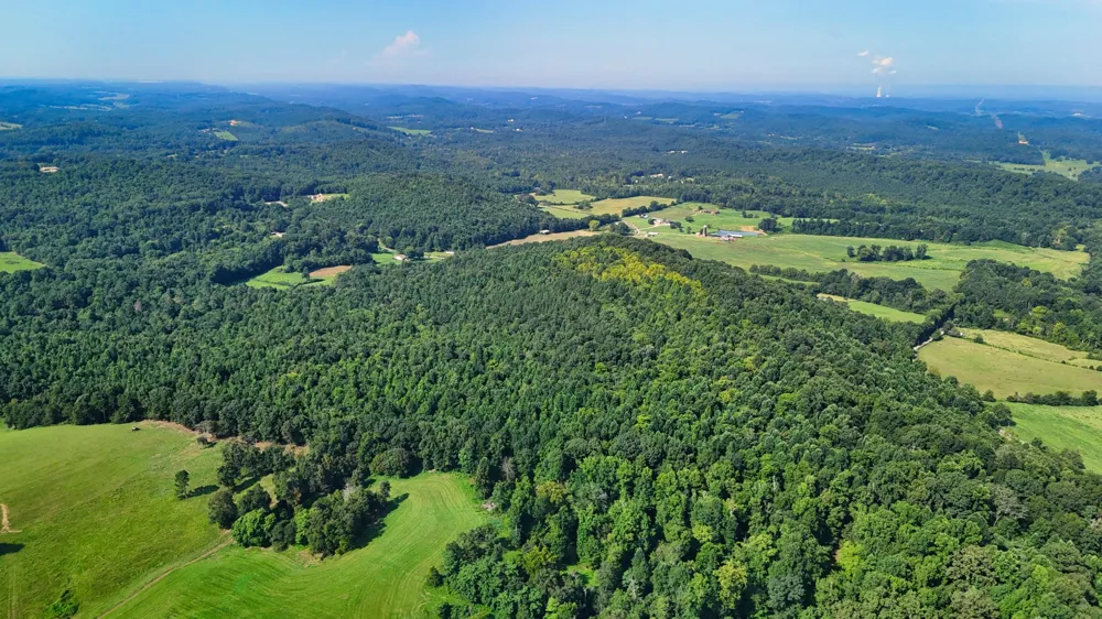 1 Moss Rd Philadelphia, TN 37846