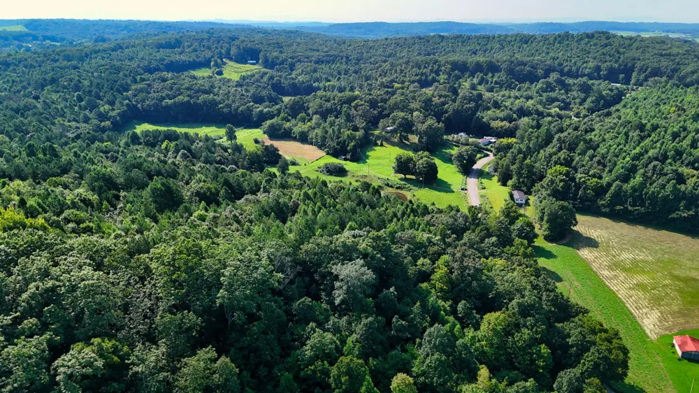 1 Moss Rd Philadelphia, TN 37846