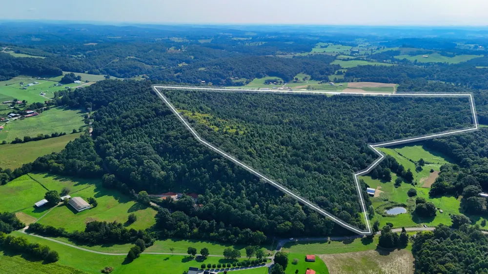 1 Moss Rd Philadelphia, TN 37846