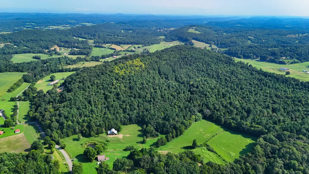 1 Moss Rd Philadelphia, TN 37846