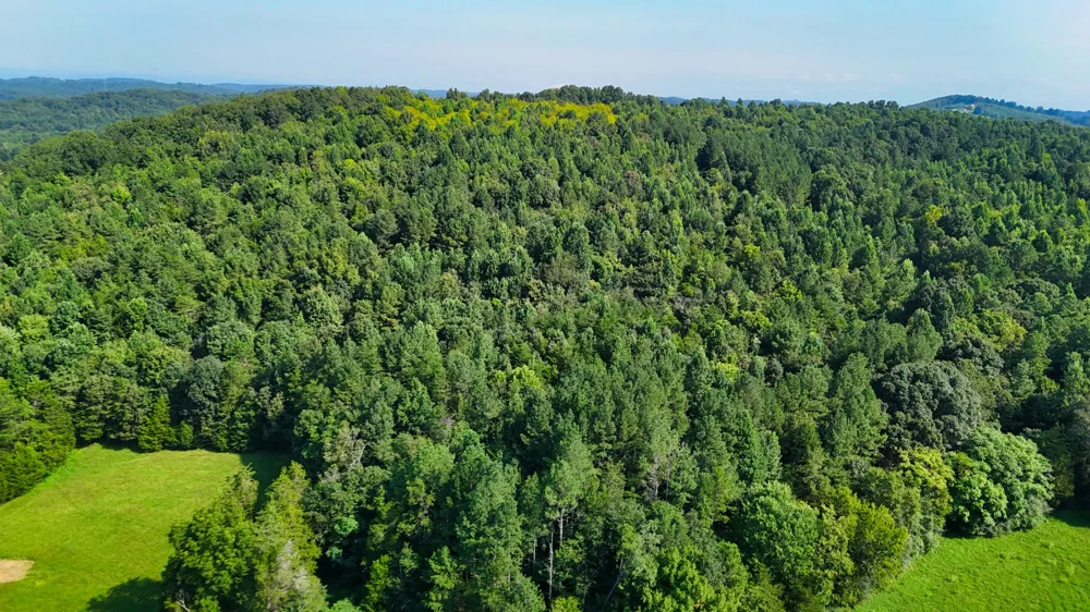 1 Moss Rd Philadelphia, TN 37846