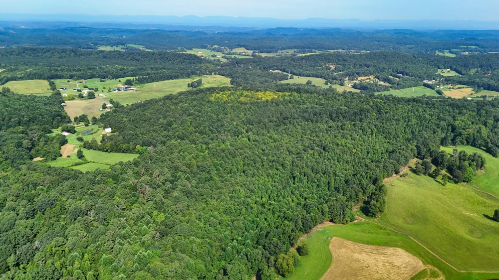 1 Moss Rd Philadelphia, TN 37846