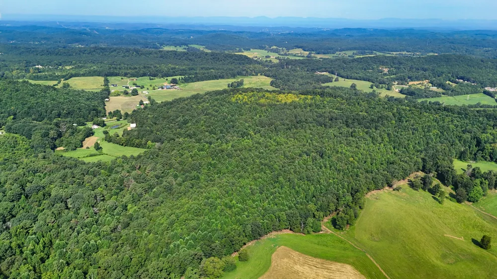 1 Moss Rd Philadelphia, TN 37846