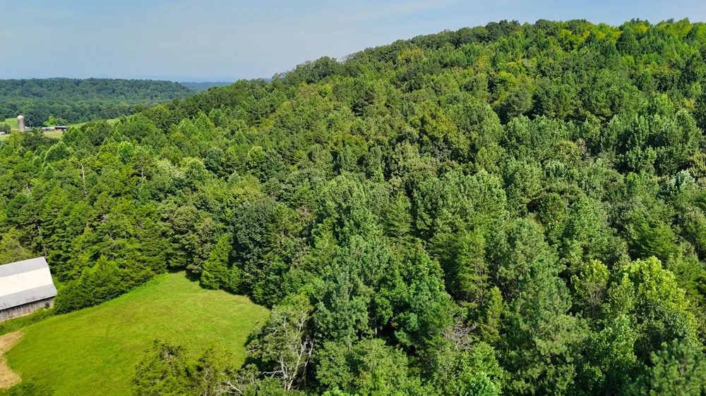 1 Moss Rd Philadelphia, TN 37846