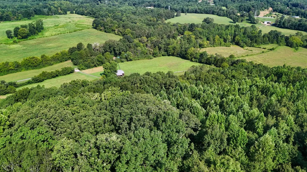 1 Moss Rd Philadelphia, TN 37846