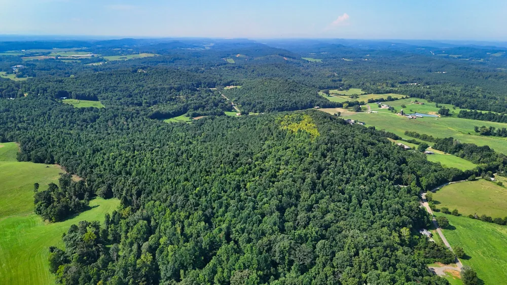 2 Moss Rd Philadelphia, TN 37846