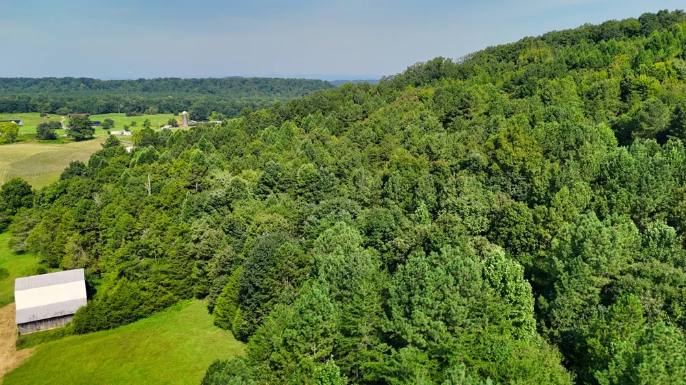 2 Moss Rd Philadelphia, TN 37846
