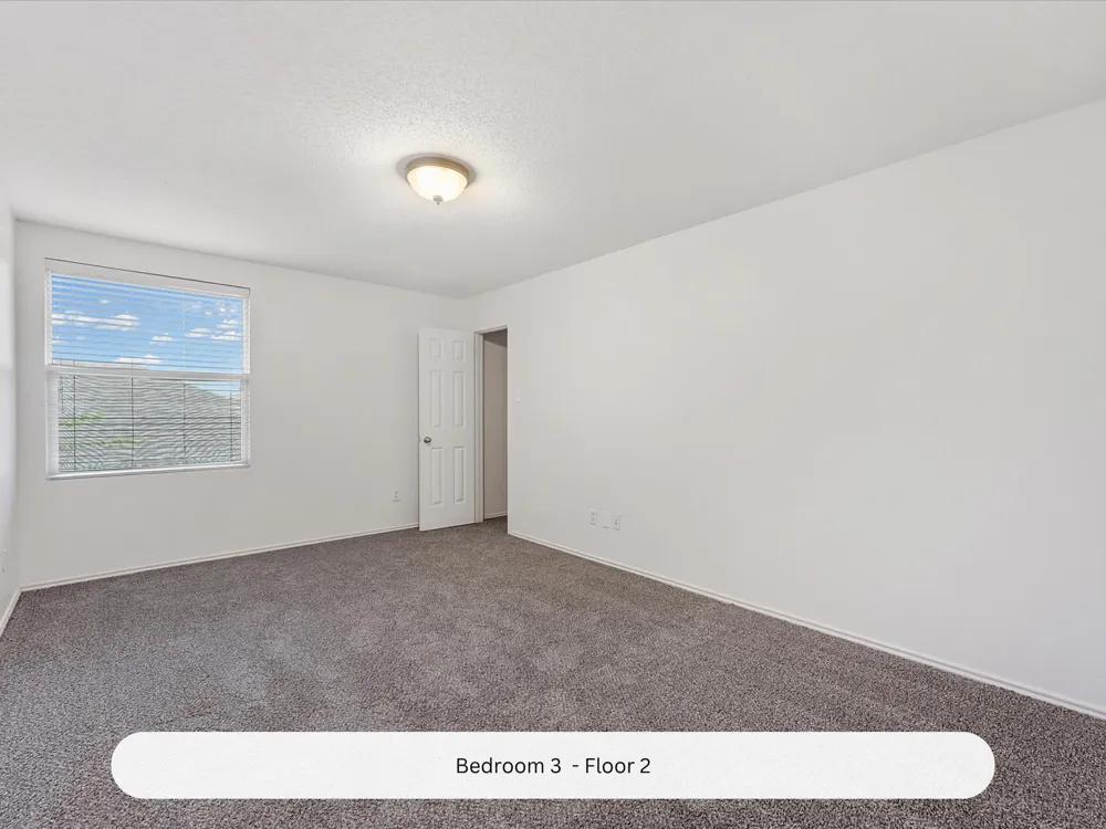 715 Odenville Drive Wylie, TX 75098