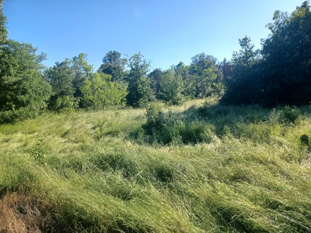 W Hwy 84 Highway Mexia, TX 76667
