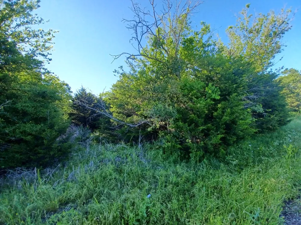W Hwy 84 Highway Mexia, TX 76667