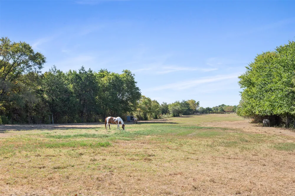 420 E US Highway 84 Fairfield, TX 75840