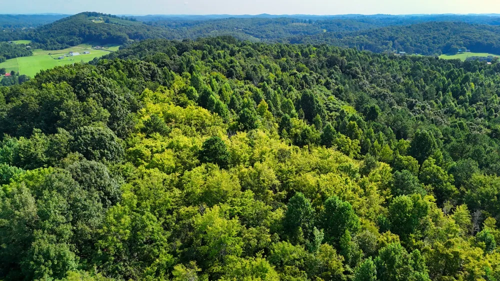 0 Moss Rd Philadelphia, TN 37846