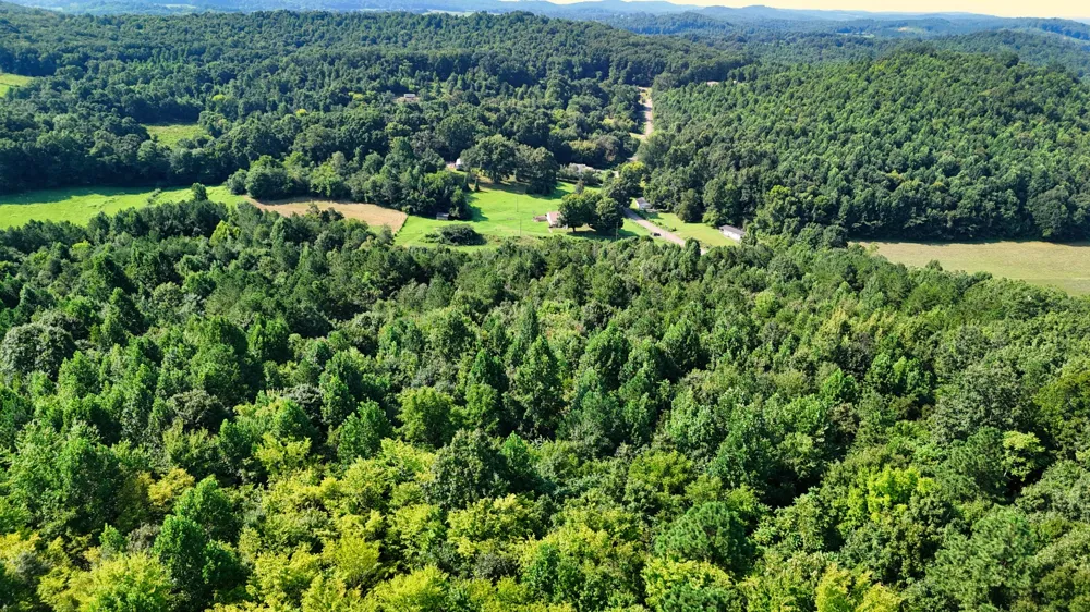 0 Moss Rd Philadelphia, TN 37846