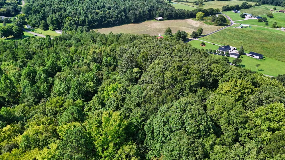 0 Moss Rd Philadelphia, TN 37846