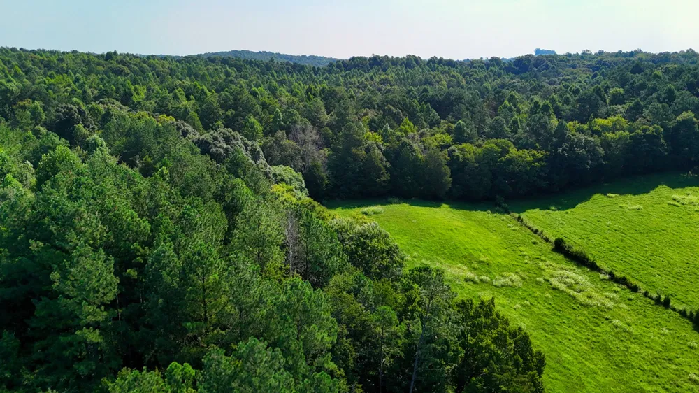 0 Moss Rd Philadelphia, TN 37846