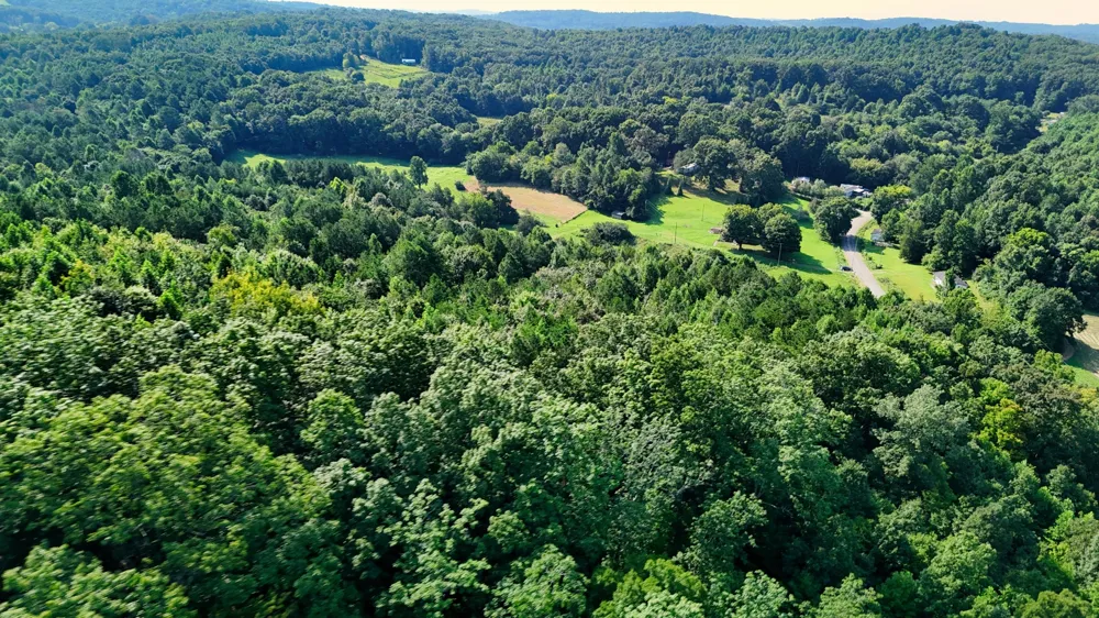0 Moss Rd Philadelphia, TN 37846