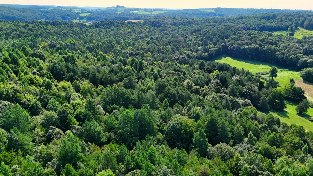 0 Moss Rd Philadelphia, TN 37846