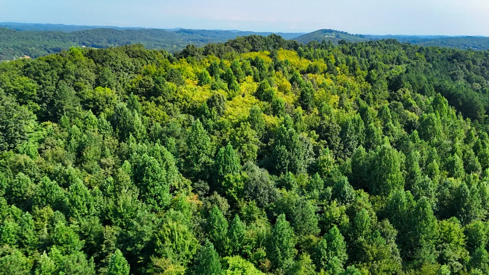 0 Moss Rd Philadelphia, TN 37846