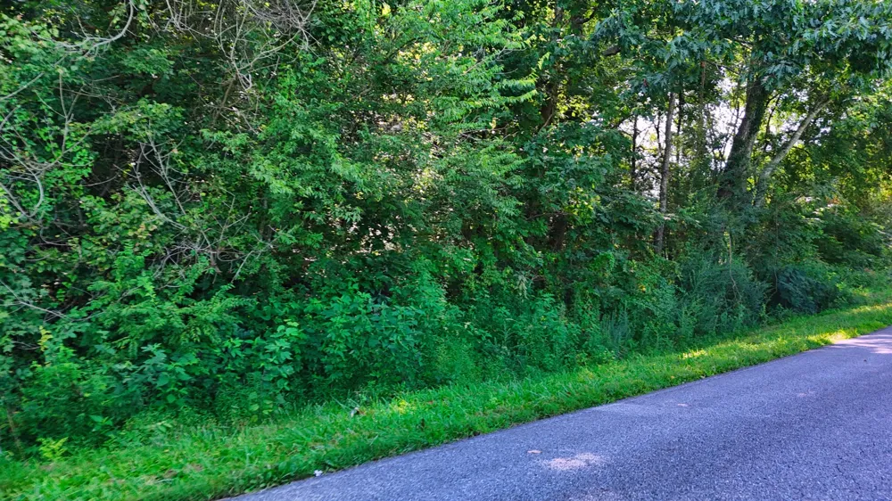 0 Moss Rd Philadelphia, TN 37846