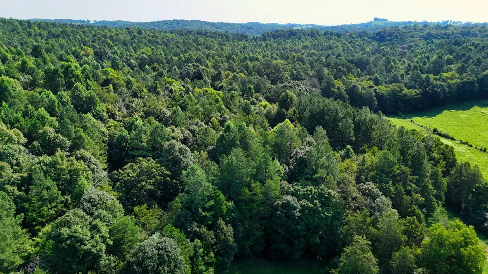 0 Moss Rd Philadelphia, TN 37846