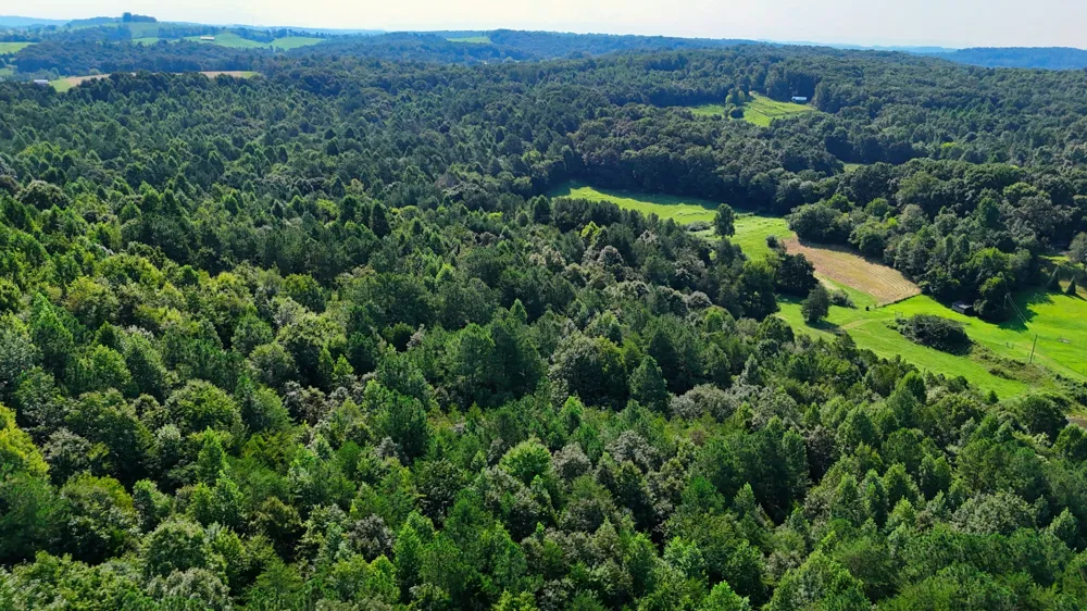 0 Moss Rd Philadelphia, TN 37846