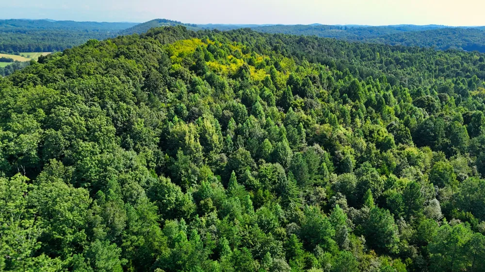 0 Moss Rd Philadelphia, TN 37846
