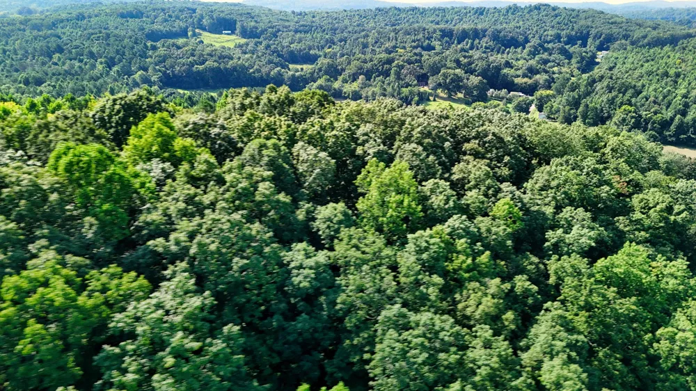 0 Moss Rd Philadelphia, TN 37846