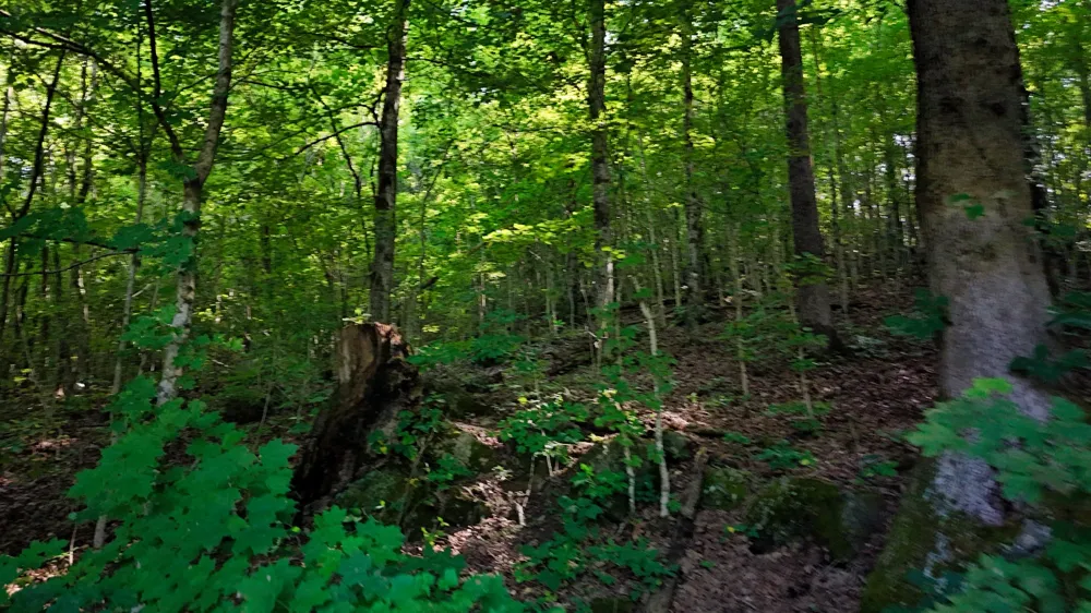 0 Moss Rd Philadelphia, TN 37846