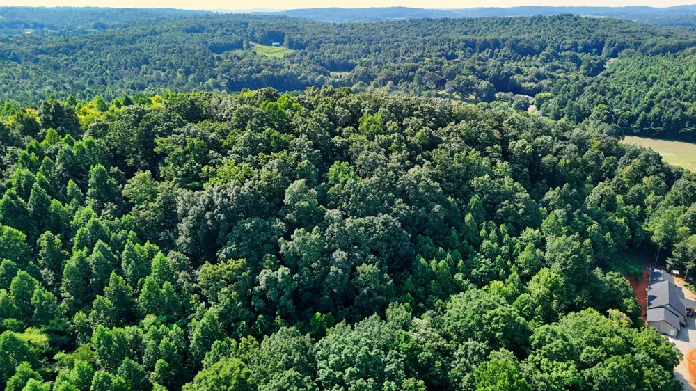 0 Moss Rd Philadelphia, TN 37846