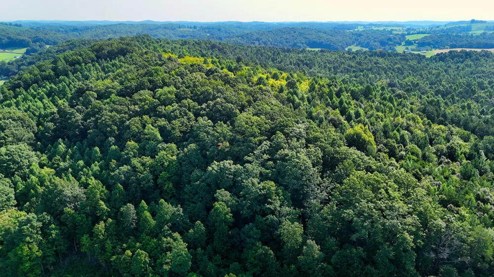 0 Moss Rd Philadelphia, TN 37846