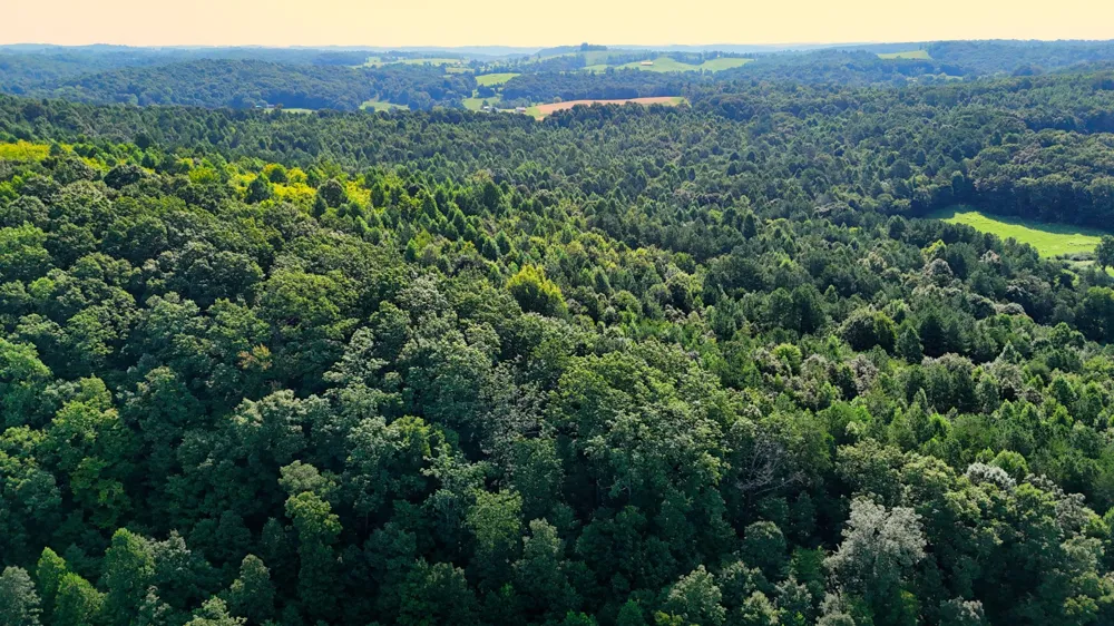 0 Moss Rd Philadelphia, TN 37846