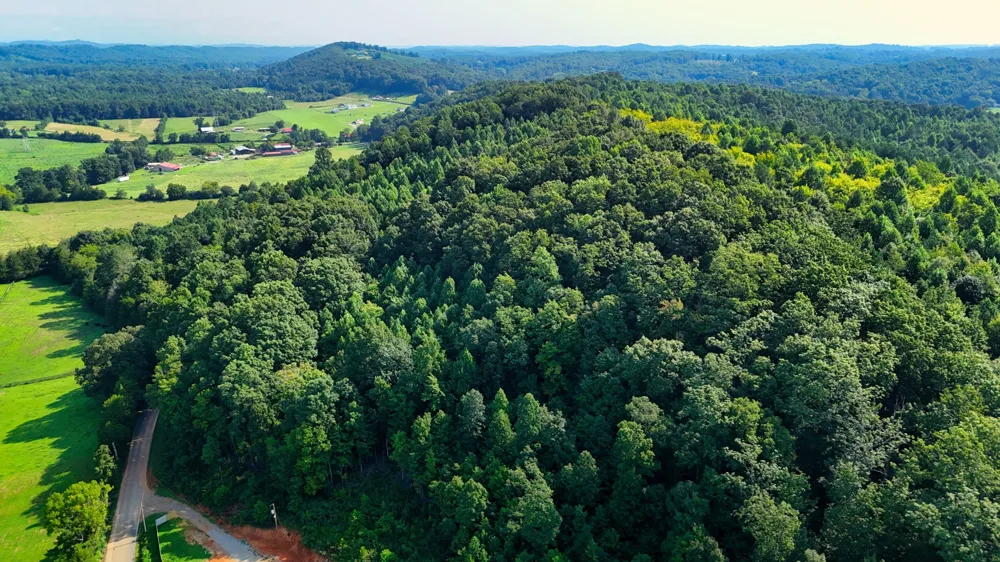 0 Moss Rd Philadelphia, TN 37846
