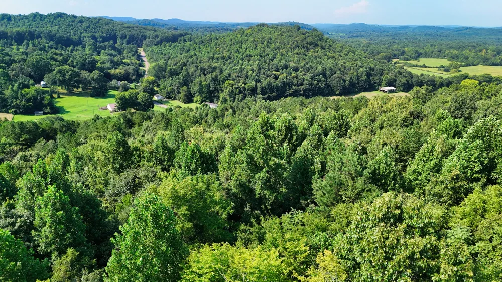 0 Moss Rd Philadelphia, TN 37846