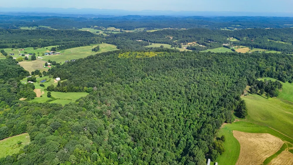 0 Moss Rd Philadelphia, TN 37846