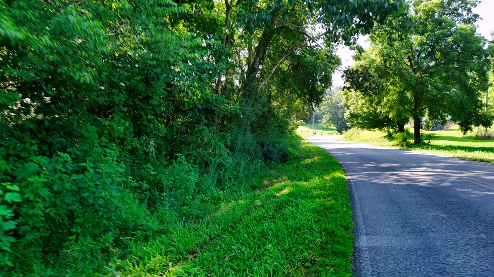 0 Moss Rd Philadelphia, TN 37846