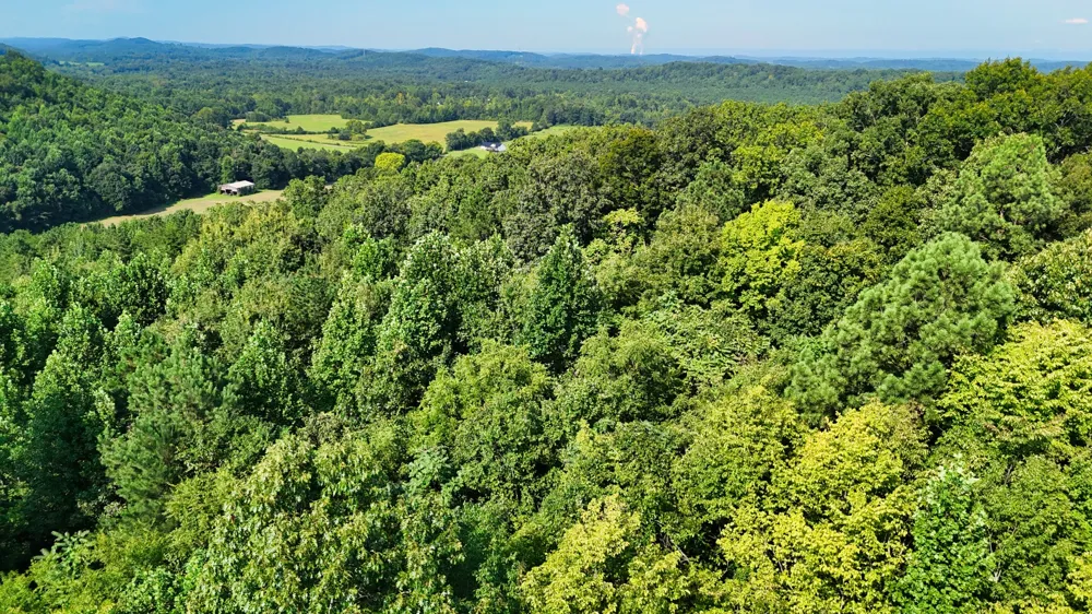 0 Moss Rd Philadelphia, TN 37846