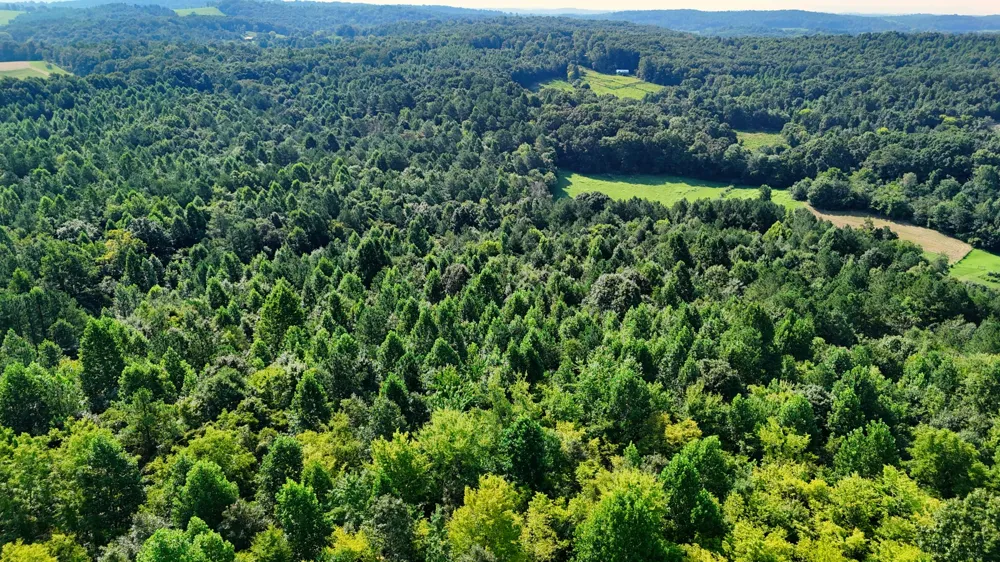 0 Moss Rd Philadelphia, TN 37846