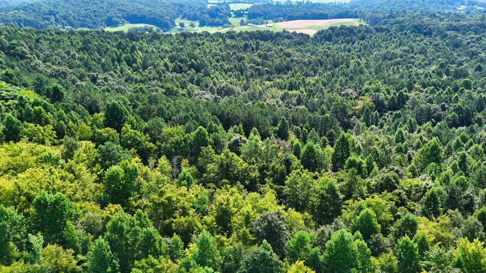 0 Moss Rd Philadelphia, TN 37846