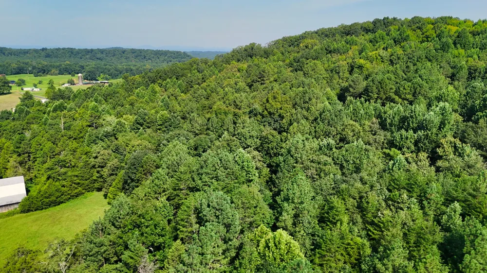 0 Moss Rd Philadelphia, TN 37846