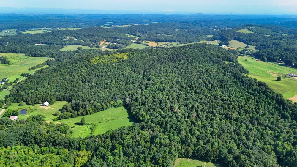 0 Moss Rd Philadelphia, TN 37846
