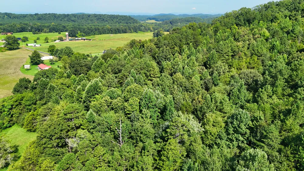 0 Moss Rd Philadelphia, TN 37846